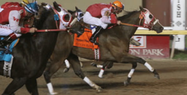 Hombre fallece de un infarto fulminante mientras participaba de una carrera de caballos - Noticiero Paraguay