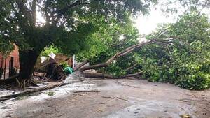 Tormenta dejó destrozos en Luque •