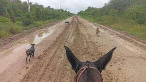 Lluvias mantienen en vilo a poblaciones del Alto Paraguay, ante la falta de reparación de caminos - Noticias del Chaco - ABC Color