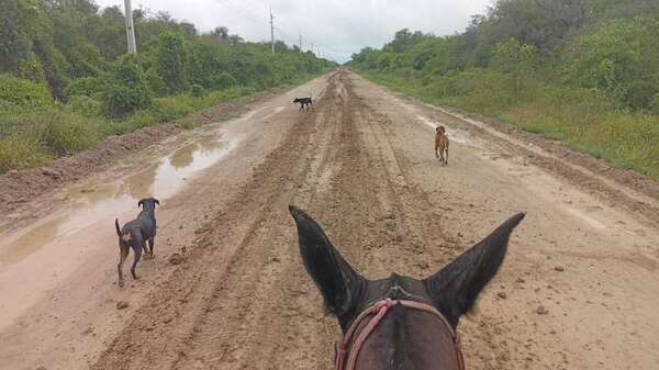 Lluvias mantienen en vilo a poblaciones del Alto Paraguay, ante la falta de reparación de caminos - Noticias del Chaco - ABC Color