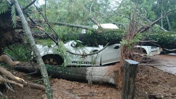 Popular / Feroz yvyramáta aplató patrullera de policía