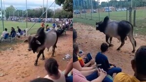 Toro pintón se coló en la cancha y paralizó la final