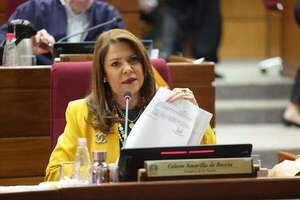 Ley de Protección de Testigos será revisada para hacerla más eficaz - Política - ABC Color