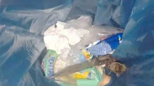 Justicia por mano propia: Asesinan a un hombre en Capiatá por supuesto abuso a niña de dos años - Concepción al Día