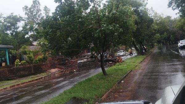 Encarnación: un solo llamado de auxilio, pero múltiples daños tras violento temporal