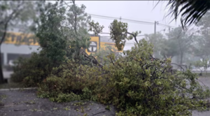 Ráfagas de hasta 105 km/h dejaron graves daños en varias zonas del país