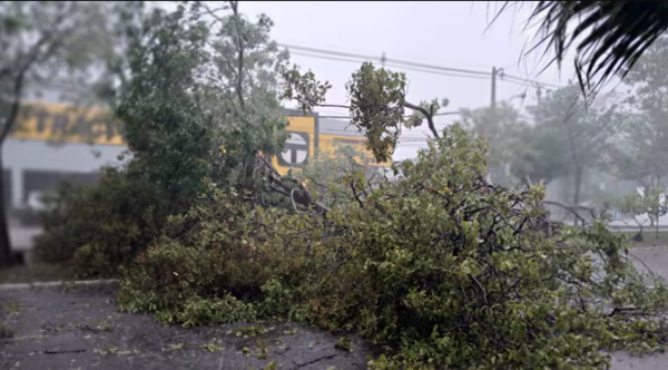 Ráfagas de hasta 105 km/h dejaron graves daños en varias zonas del país