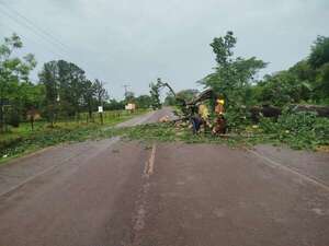 Temporal del domingo: bomberos reportaron heridos, árboles caídos e incendios   - Nacionales - ABC Color