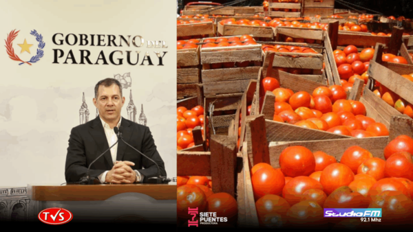 ​PARAGUAY COMPLETARÁ 11 CARGAS DE TOMATE PARA EXPORTACIÓN - «TVS DIGITAL»
