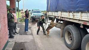 Video: cae en Argentina camión lleno de marihuana proveniente de Paraguay - Mundo - ABC Color
