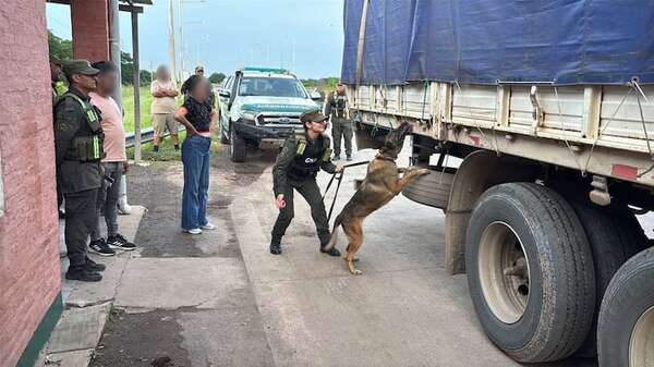 Video: cae en Argentina camión lleno de marihuana proveniente de Paraguay - Mundo - ABC Color