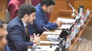 Mauricio Espínola propone salvaguarda para locales de San Bernardino ante medida municipal