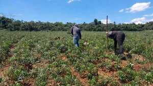 Unas 70 familias de Canindeyú reclaman al Gobierno la regularización de tierras y asistencia urgente