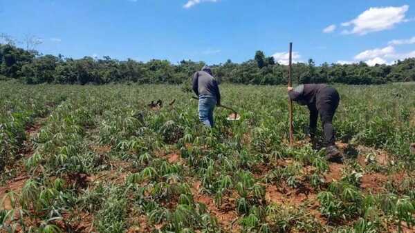 Unas 70 familias de Canindeyú reclaman al Gobierno la regularización de tierras y asistencia urgente