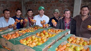 Se completarán 11 cargas de tomate para la exportación