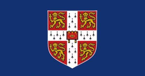 Diario HOY | “Parasocial”, palabra del año para el diccionario de Cambridge