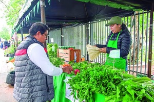 Ferias de Agricultura Familiar: Diversidad y Ofertas