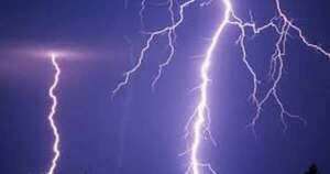 La Nación / Rayo mató a siete vacunos durante el último temporal en Carapeguá