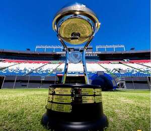 Final de la Copa Sudamericana: Migraciones aplicará sistema de trámites adelantados - Nacionales - ABC Color