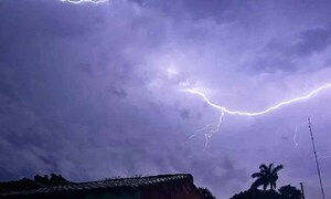 Fuerte descarga de un rayo mata a siete ganados vacunos en Carapeguá – Prensa 5