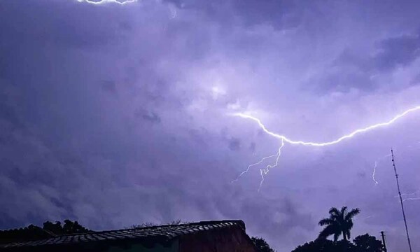 Fuerte descarga de un rayo mata a siete ganados vacunos en Carapeguá – Prensa 5