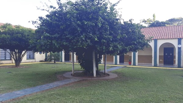 Militar ordenó cortar la planta de Santa Rita que tiene “póra”