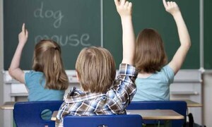 Dan luz verde a proyecto de inglés obligatorio en escuelas – Prensa 5