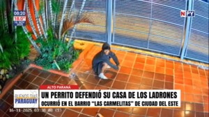 Perro guardián frustra intento de robo en Ciudad del Este