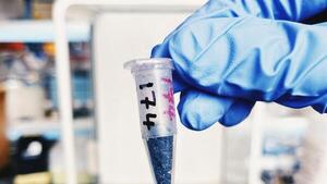 Científicos hallan señas de la existencia de vida en la Tierra hace 3.300 millones de años