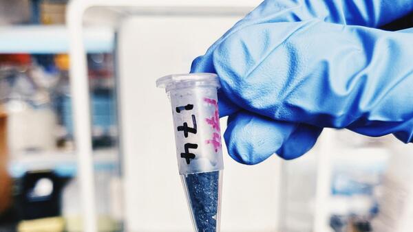 Científicos hallan señas de la existencia de vida en la Tierra hace 3.300 millones de años