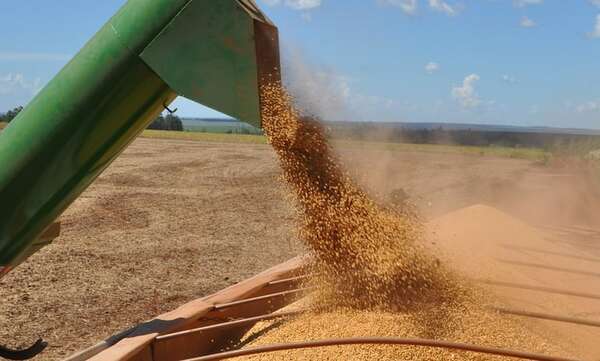 Soja en baja, derivados en alza: ¿qué está pasando con las exportaciones? - ABC Rural - ABC Color