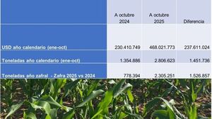 Ingresos por exportación de maíz aumentaron 103% a octubre