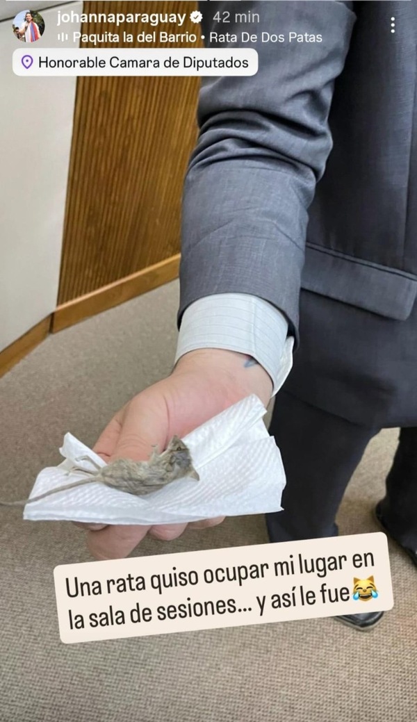 Interna al rojo vivo: Johanna Ortega publica imagen y acusa a sus competidores de “ratas” - El Trueno