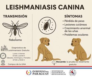 Leishmaniasis: una enfermedad que nace en el ambiente y exige responsabilidad humana