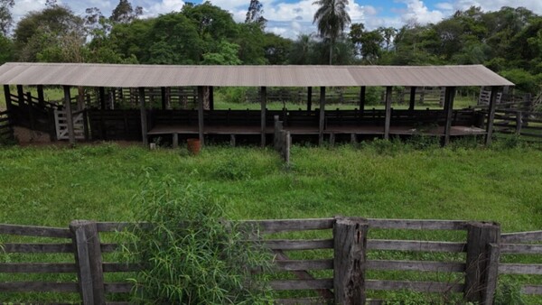 La otra versión: Productores denuncian amenazas de las hermanas Lindstrom
