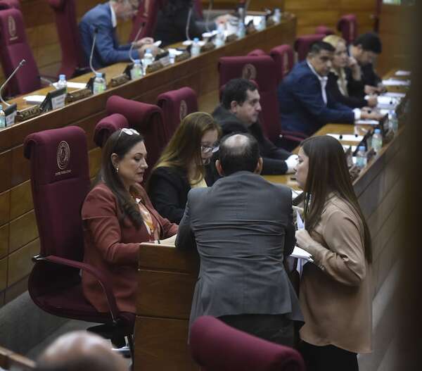 AUDIO. Debate el proyecto de reforma del transporte público - Periodísticamente - ABC Color