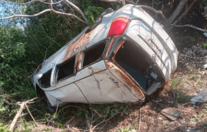 Una rama le atravesó el pecho, pero sobrevivió para contar su historia - Noticiero Paraguay