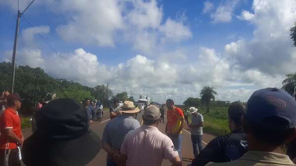 Productores de tomate exigen soluciones ante la caída de los precios - ABC Rural - ABC Color