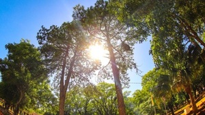 Anuncian día soleado y sin lluvia para este miércoles