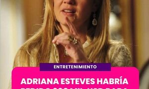 ADRIANA ESTEVES HABRÍA PEDIDO 300 MIL USD PARA VOLVER COMO CARMINHA