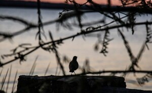 Anuncian miércoles con amanecer fresco y soleado en todo el país