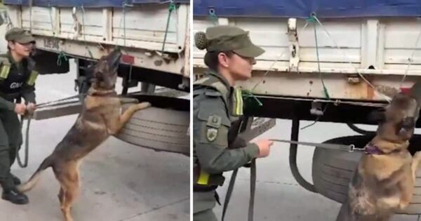 Diario HOY | Confirman que carga con marihuana fue contaminada en Argentina y no salió desde Paraguay