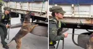 Confirman que carga con droga fue contaminada en Argentina y no salió de Paraguay