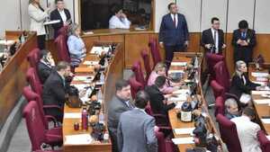 Senado busca interpelar a titular de Indert por venta de 29 hectáreas a precio de regalo