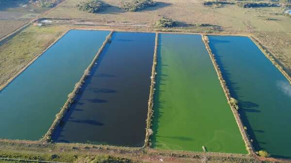 AUDIO. ANDE corta electricidad a la ESSAP y deja sin agua a dos barrios enteros - Ancho Perfil - ABC Color