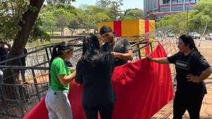 Navidad en el Este: sagrada familia, yacaré y Papá Noel gigante serán los protagonistas este año - ABC en el Este - ABC Color