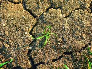 “La Niña” Instala Dudas y Obliga al Agro a Prever Verano