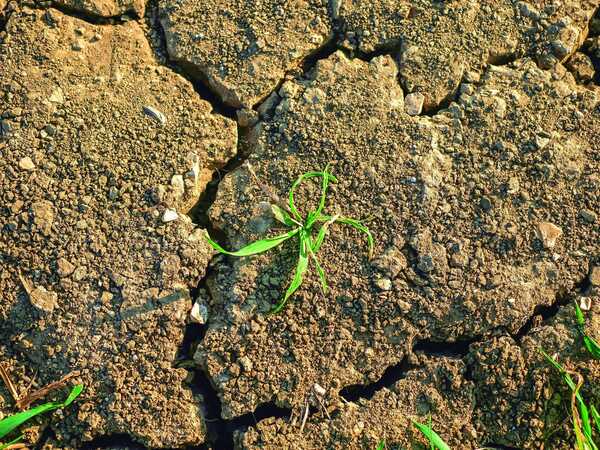 “La Niña” Instala Dudas y Obliga al Agro a Prever Verano