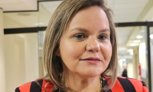 El Senado devuelve a comisión el proyecto que modifica el artículo sobre abuso infantil - OviedoPress