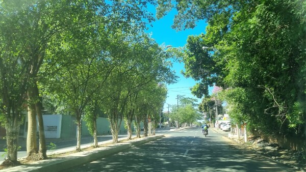 Meteorología pronostica un jueves cálido a caluroso y soleado en casi todo Paraguay